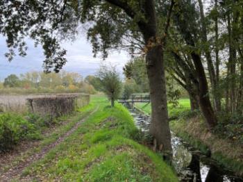 Buiten wandelen, met of zonder hond(1)