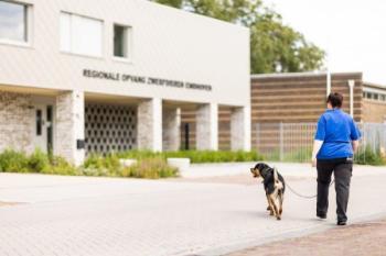 Per 1 januari 2022 is (Regionale Opvang Zwerfdieren Eindhoven) verantwoordelijk voor de opvang van zwerfdieren en wilde dieren in nood voor...