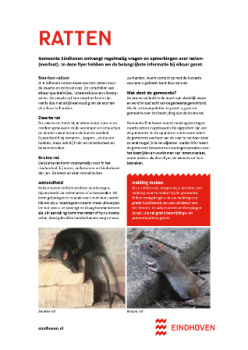 Informatiefolder over ratten, gemeente Eindhoven