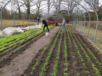 De basisdagbesteding is gericht op sociale interactie. Door doen en meedoen, vanuit de eigen mogelijkheden en interesses. In de tuinderij en het...