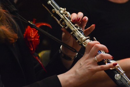 Het Eindhovens Muziekcollectief (EM) bestaat sinds begin 2013 en komt voort uit een fusie tussen de...