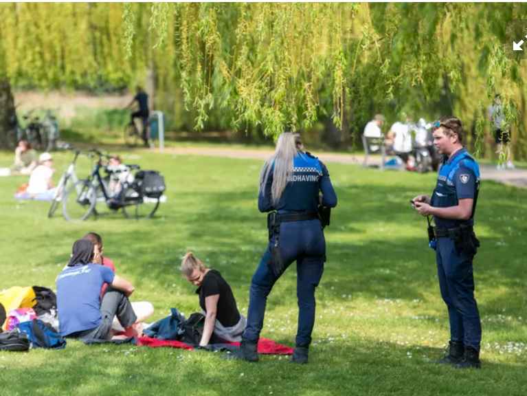 buitengewoon opsporingsambtenaar (boa)