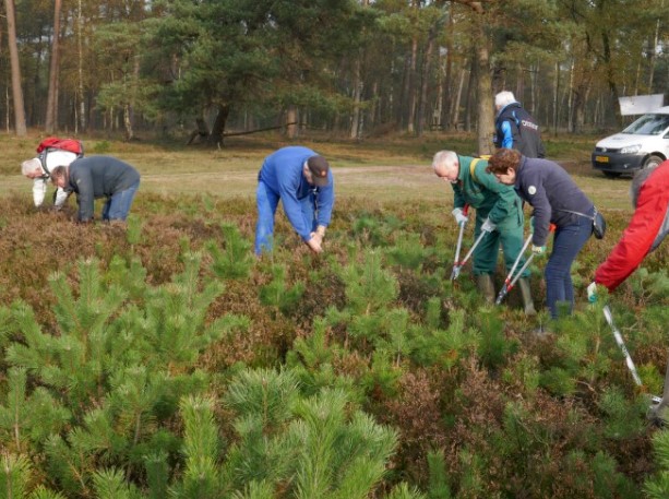 ACTIEF VOOR MILIEU en NATUUR