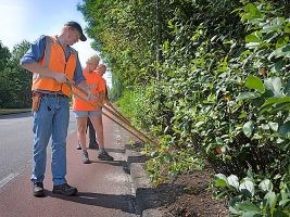 groenvoorziening